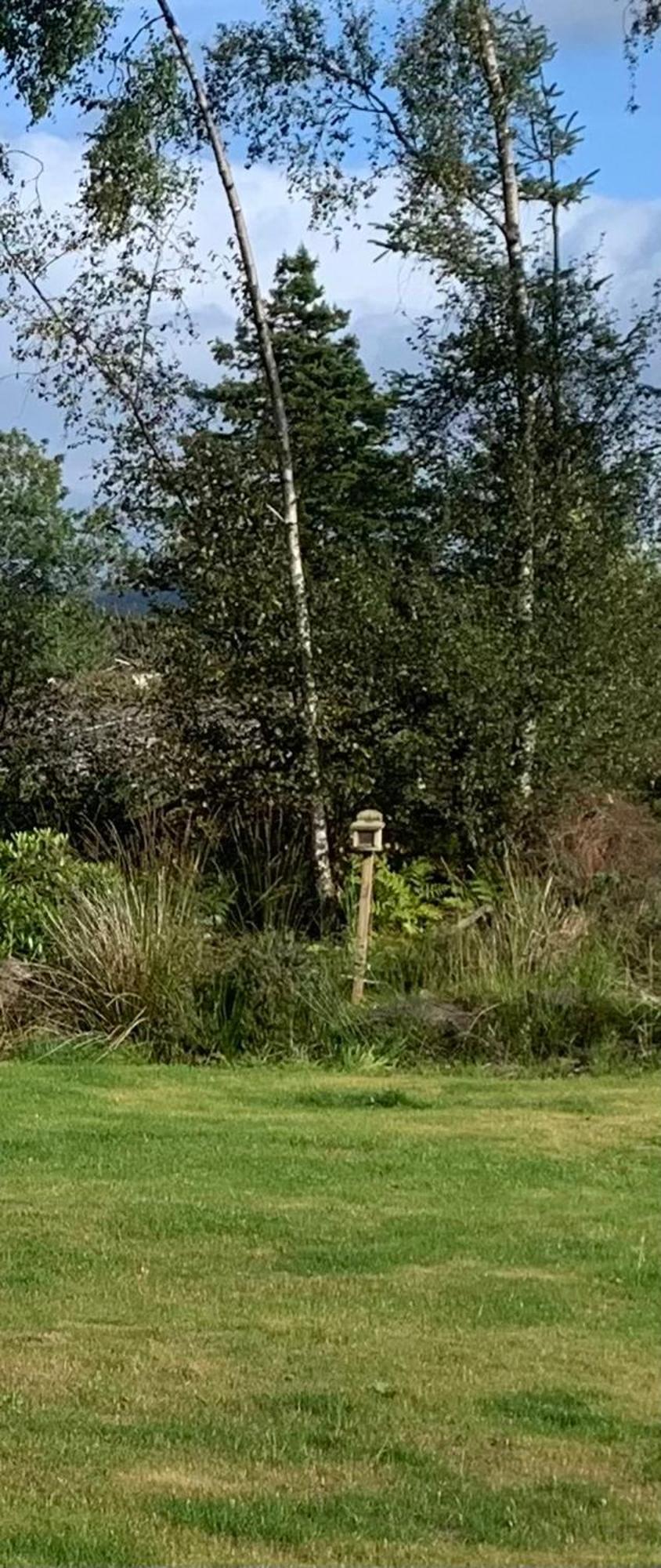 Tawny Owl Pod With Hot Tub Villa Oban Exterior foto